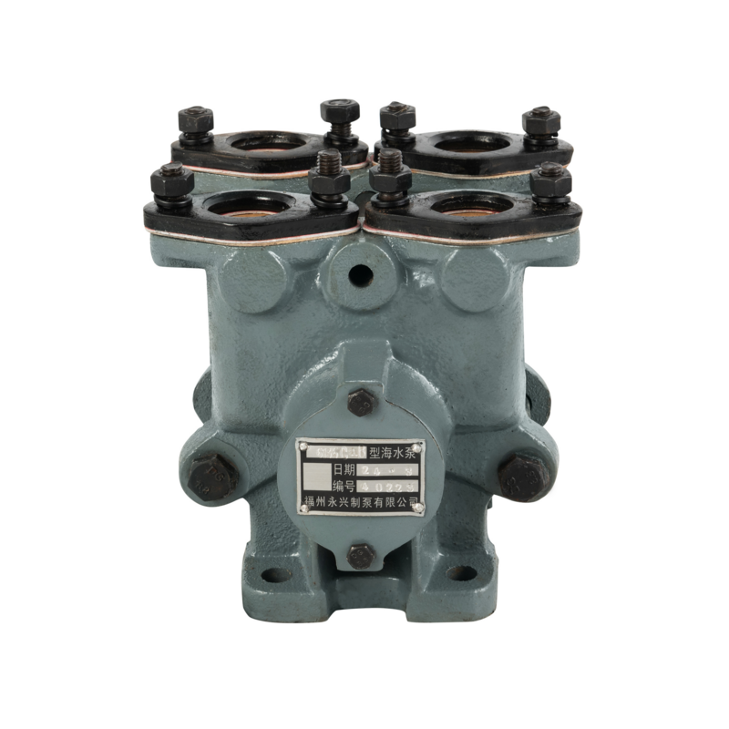 6135CaB Seawater Cooling Pump